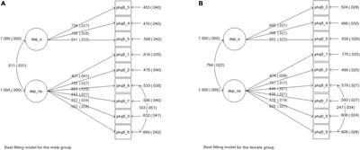 Sex Differences in Depression and Anxiety Symptoms: Measurement Invariance, Prevalence, and Symptom Heterogeneity Among University Students in South Africa